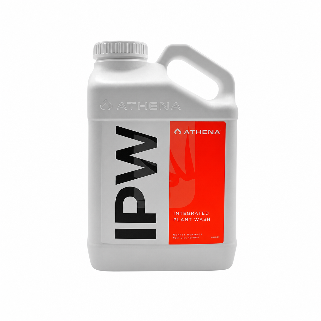 Athena IPW 32oz | 946ml